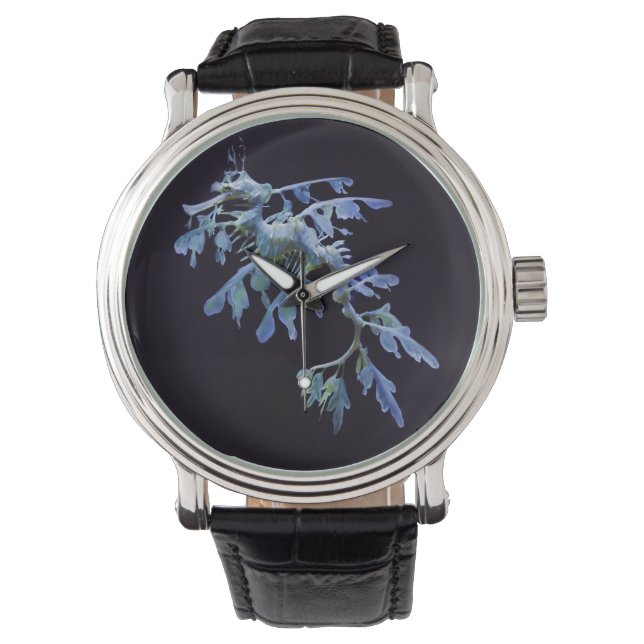 Leafy Sea Dragon Övervakning Armbandsur (Framsida)