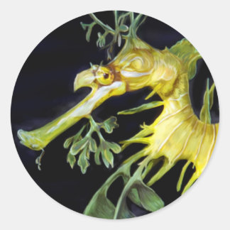 Leafy Sea Dragon Runt Klistermärke