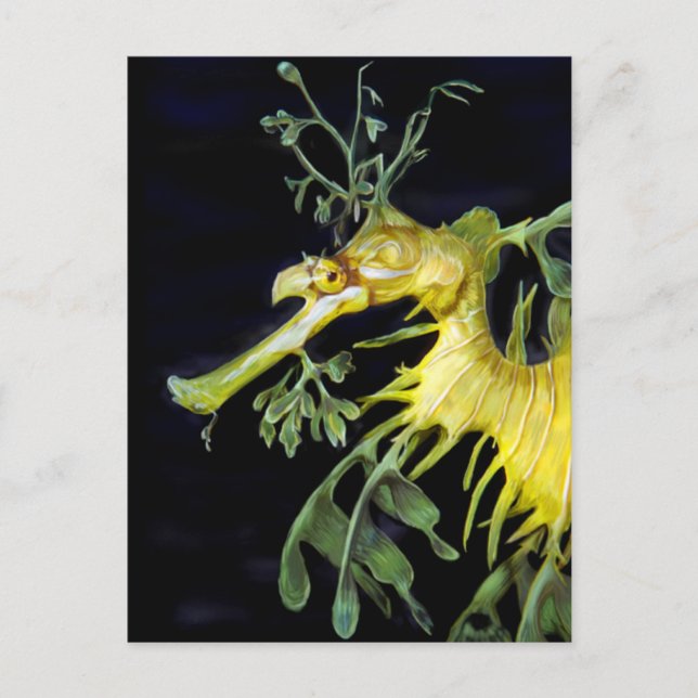 Leafy Sea Dragon Vykort (Framsida)