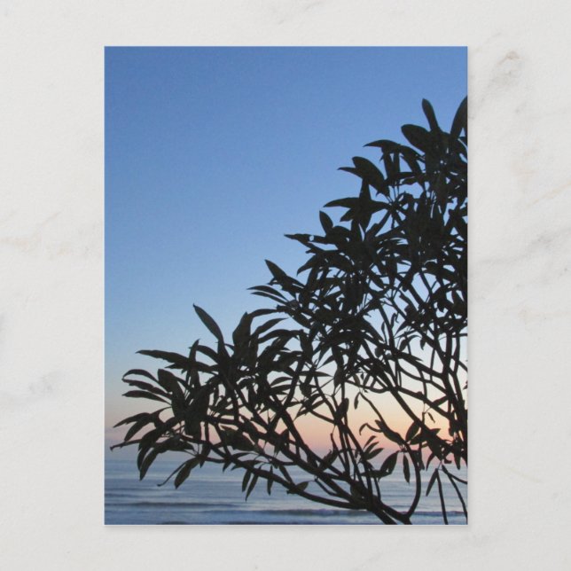 leafy silhouette vykort (Framsida)