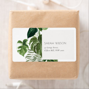 Leafy Tropical Handflatan Foliage Leafy Adress Fraktsedel
