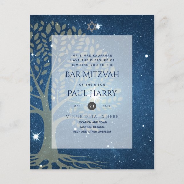 LeahG Elegant Chic Pub Mitzvah Jewish Torah Chic Flygblad (Framsidan)