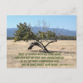 Lean inte på din egen insikt vykort