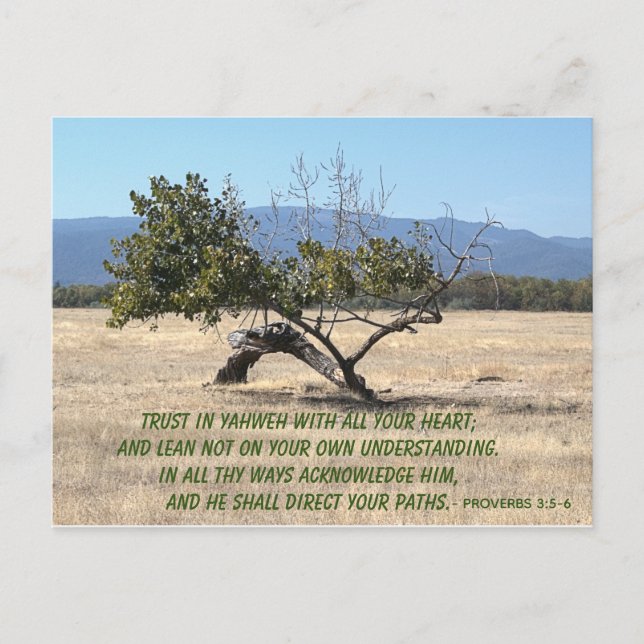 Lean inte på din egen insikt vykort (Framsida)