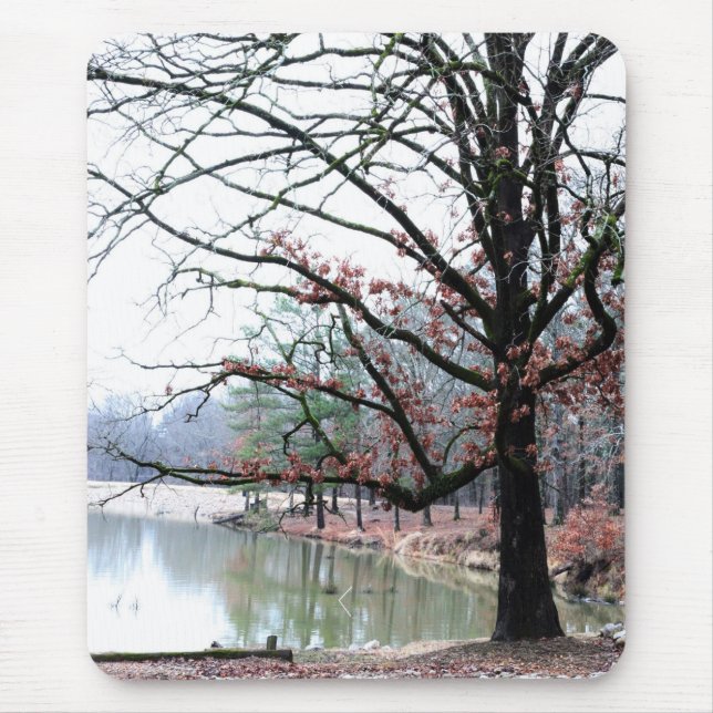 Lean Musmatta (Framsidan)