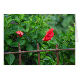 Leaning Garden Flower Hälsningskort