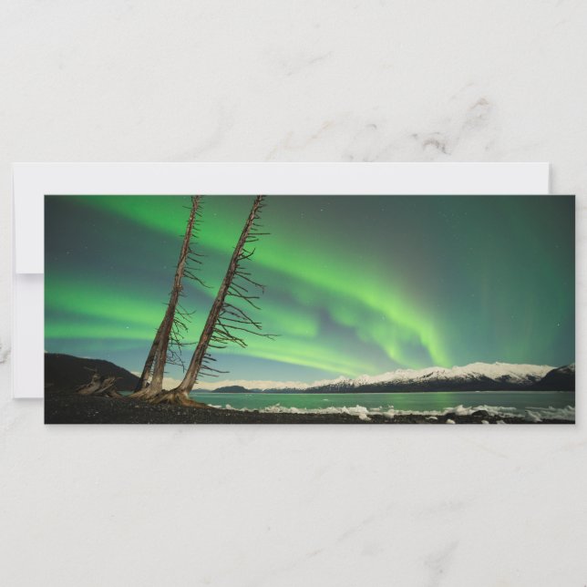 Leaning Träd Aurora (Framsida)