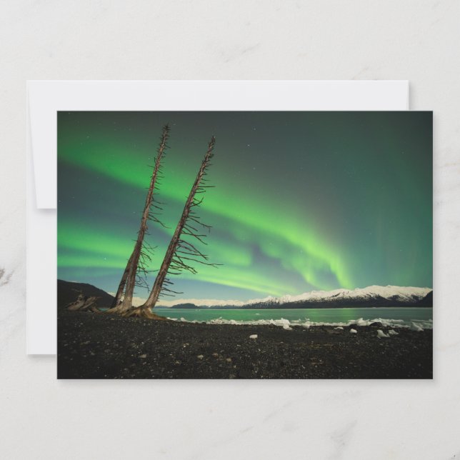 Leaning Träd Aurora (Framsida)