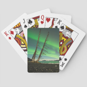 Leaning Träd Aurora Casinokort