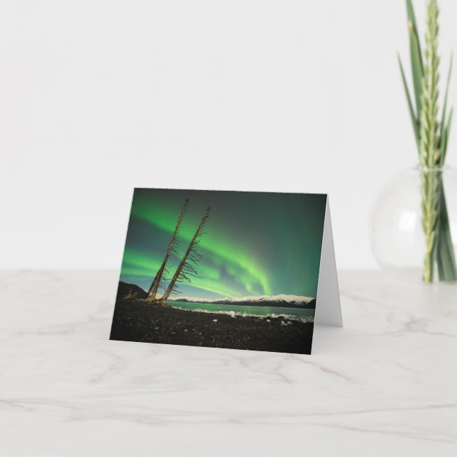 Leaning Träd Aurora Kort (Framsida)