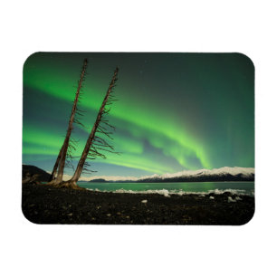 Leaning Träd Aurora Magnet