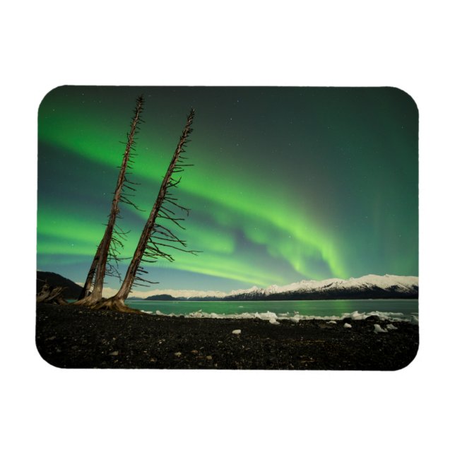 Leaning Träd Aurora Magnet (Horisontell)