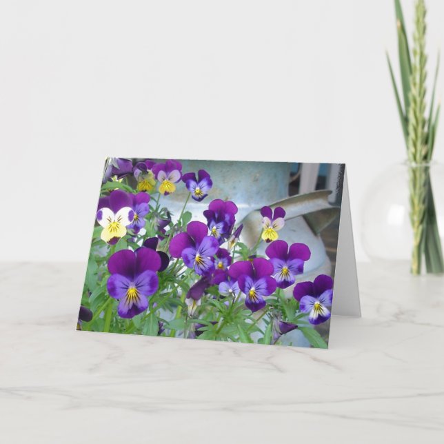 LeAnns Violets Card Kort (Framsida)