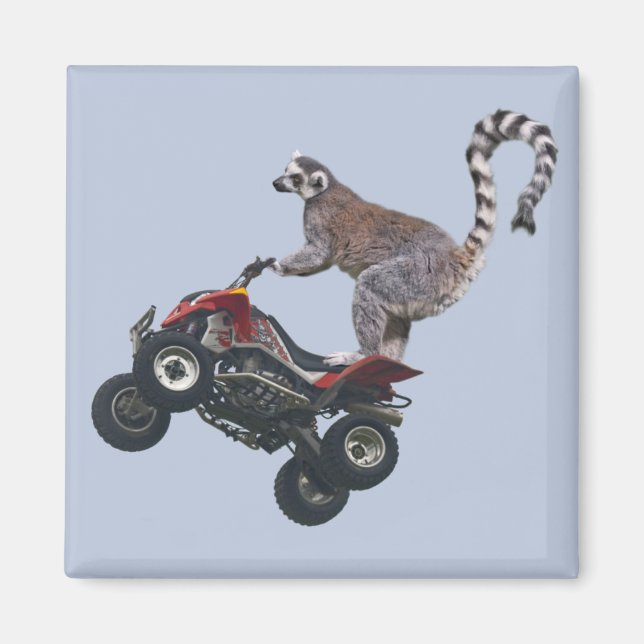 Leaping Lemur Magnet (Framsidan)