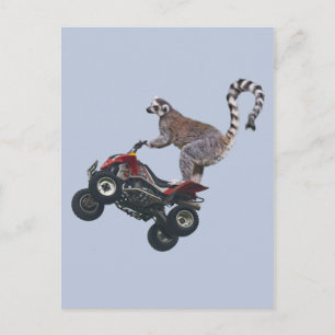 Leaping Lemur-vykort Vykort