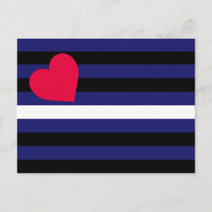 Leather Latex och BDSM Pride Flagga Vykort
