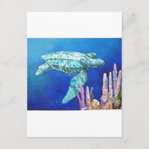 LEATHERBACK TURTLE VYKORT