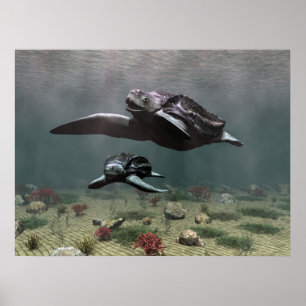 Leatherbacksköldpaddaaffisch Poster
