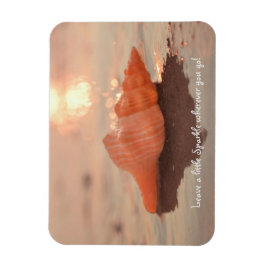 Leave a little Sparkle Horse conch Shell card Magnet