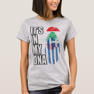 Lebanese And Greek Mix Heritage DNA Flag T Shirt