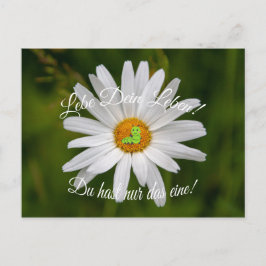 Lebe Dein Leben! Du hast nur das eine! Vykort