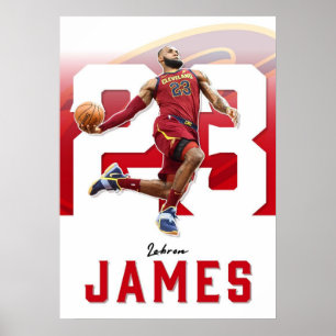 lebron james, nba, basketboll, kung james, slam du poster