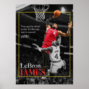 lebron james, nba, basketboll, kung james, slam du poster