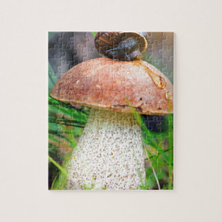 Leccinum på gräs med snigel pussel