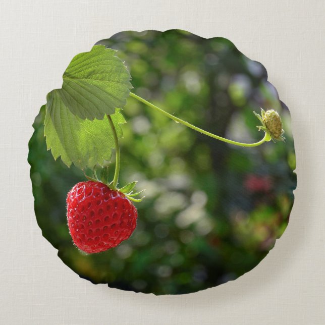 Lecker jordgubb tid rund kudde (Framsidan)