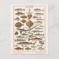 Leçons de choses les poissons
