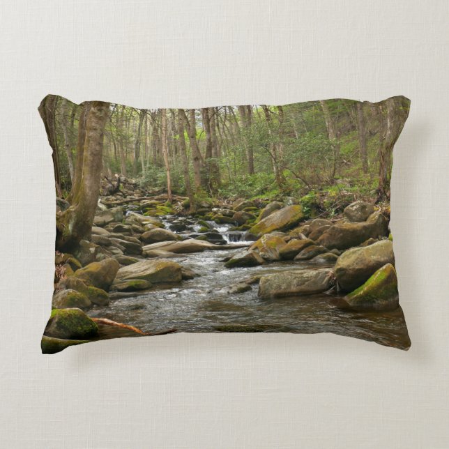 LeConte Bäck vid Underbara rökiga berg Prydnadskudde (Framsidan)