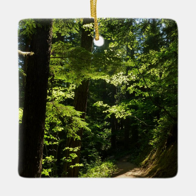 Led från Silver Falls Julgransprydnad Keramik (Framsida)