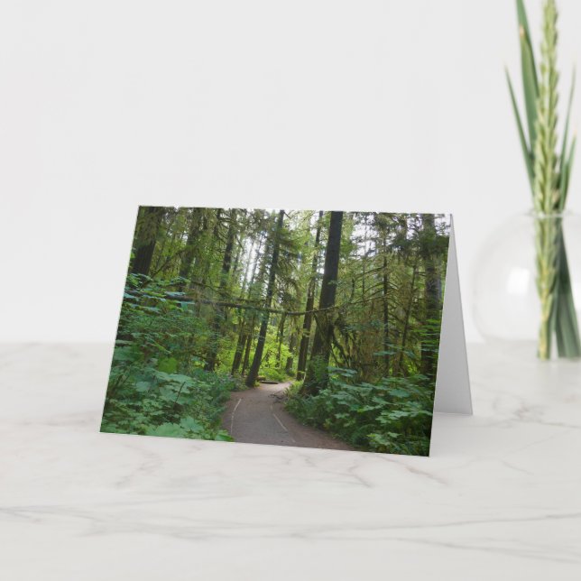 Led till Marymere Falls I Kort (Framsida)
