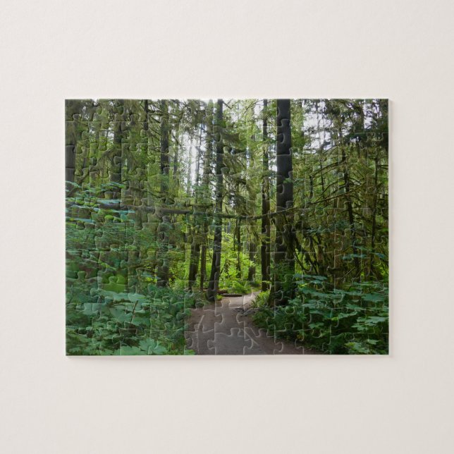 Led till Marymere Falls I Pussel (Horisontell)