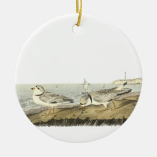 Leda i rör ploveren, John Audubon Julgransprydnad Keramik