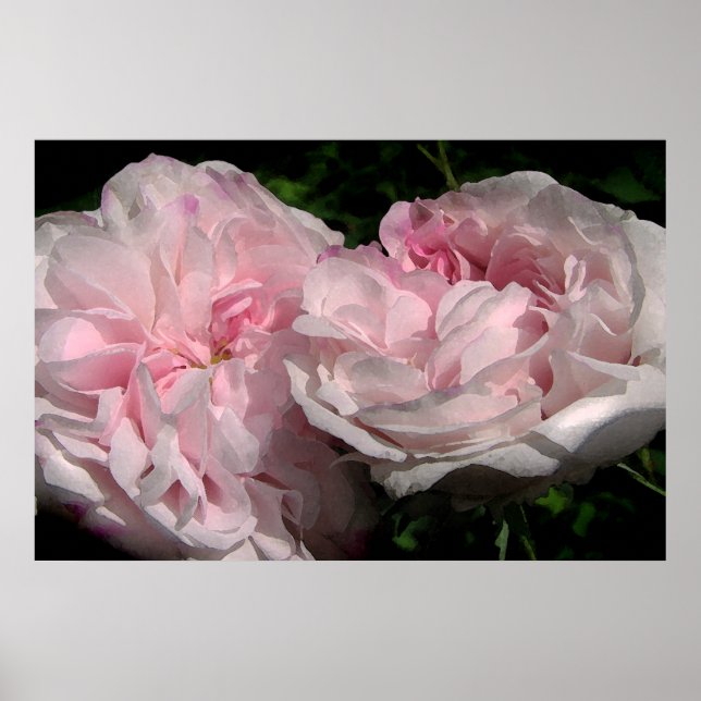 Leda Poster (Framsidan)