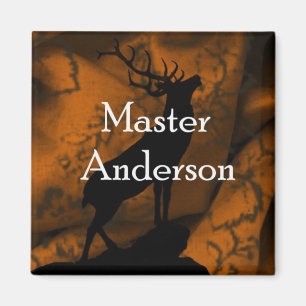 Ledar- anderssonmagnet magnet