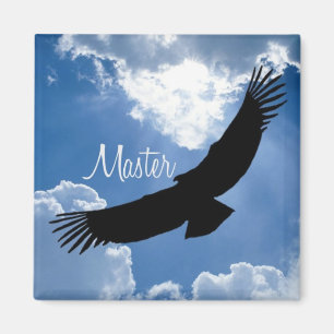 Ledar- magnet