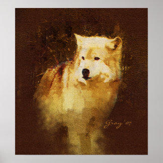 Ledare för paketet poster