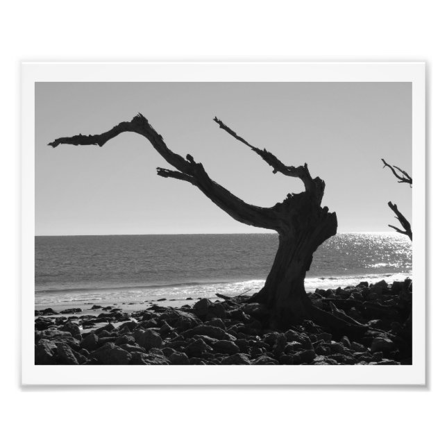 Ledaren Fototryck (Framsidan)