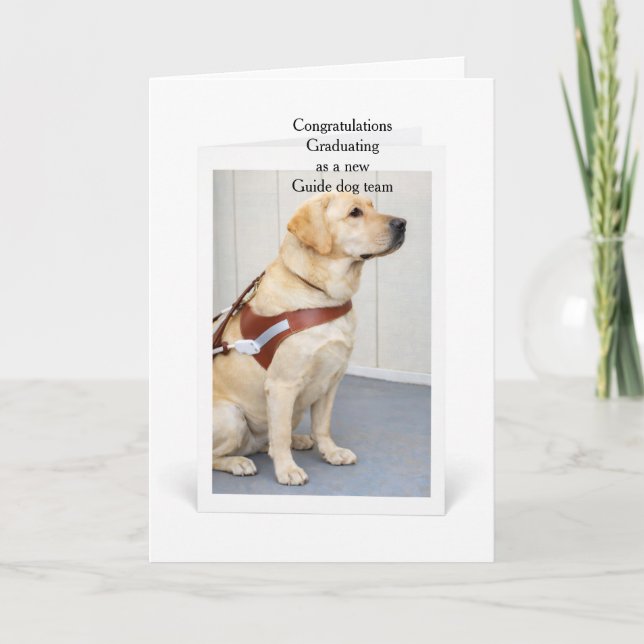 Ledarhundsteam med gula labrador Graduerar Kort (Framsida)
