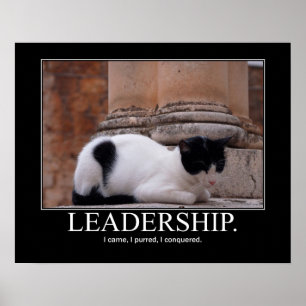 Ledarskapkattkonstverk Poster