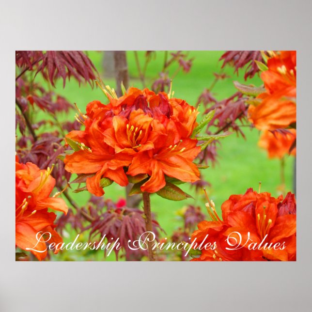 Ledarskapsprinciper Värderingsavtryck Konst Art Poster (Framsidan)