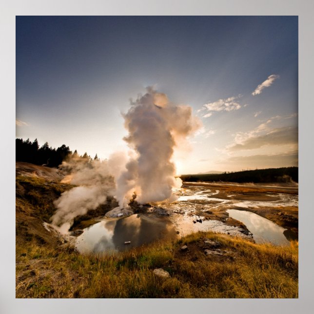 Ledge Geyser, Norris Geyser Basin Poster (Framsidan)