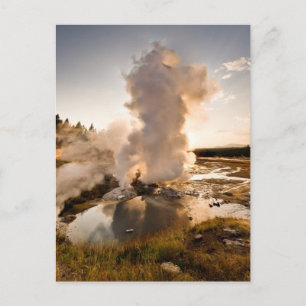 Ledge Geyser, Norris Geyser Basin Vykort