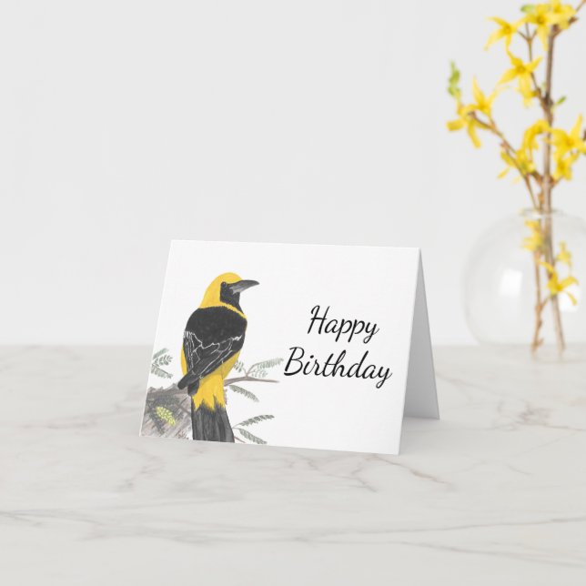 Ledig Oriole White Background Bird Kort (Gul blomma)