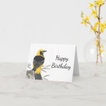 Ledig Oriole White Background Bird