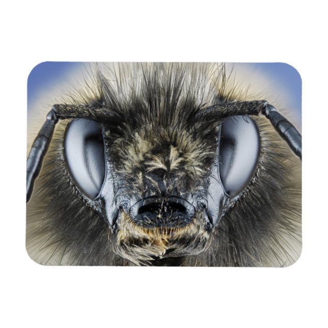 Ledning för humlor magnet (Horisontell)