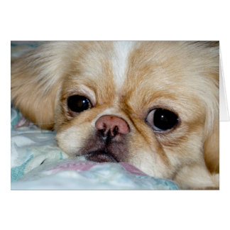 Ledsen Ansikte Hälsningskort