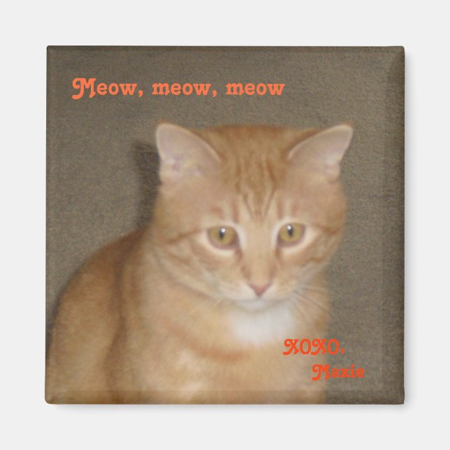 Ledsen ansikte magnet (Framsidan)